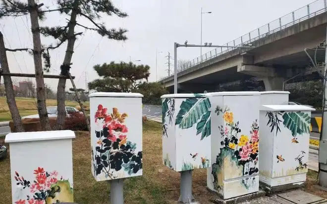 街頭配電箱變身“藝術品”，成為一道靚麗風景線